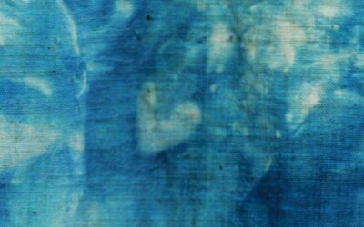 Rencontre avec India Flint : Semaine d’Exploration de la Teinture, des Bleus et des Textiles